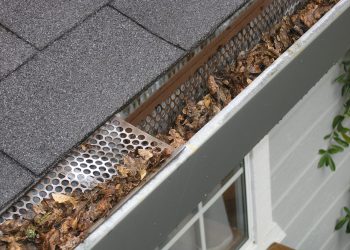 gutter-guard-ipswich-2434467_1280